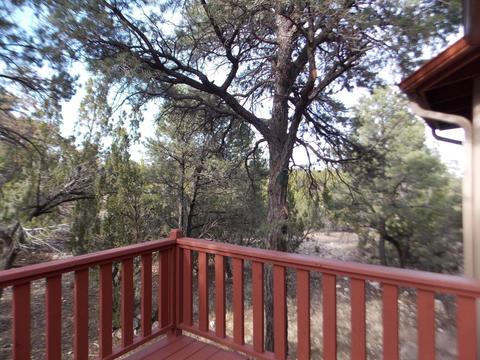 2967 Lodgepole Ln, Overgaard, AZ 85933 photo 58