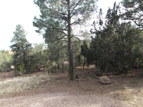 2967 Lodgepole Ln, Overgaard, AZ 85933 photo 52
