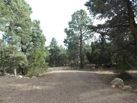 2967 Lodgepole Ln, Overgaard, AZ 85933 photo 49