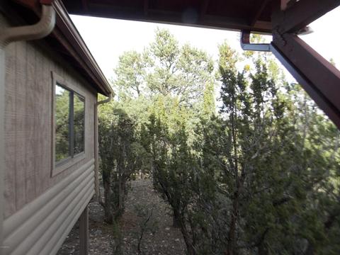 2967 Lodgepole Ln, Overgaard, AZ 85933 photo 56