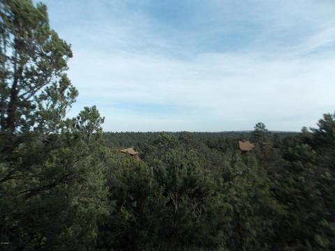 2967 Lodgepole Ln, Overgaard, AZ 85933 photo 30
