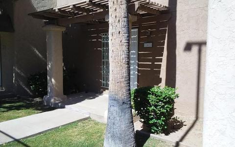 7126 N 19th Ave #162, Phoenix, AZ 85021 photo 2