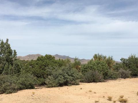 10375 E Windup Trl, Kingman, AZ 86401 photo 10