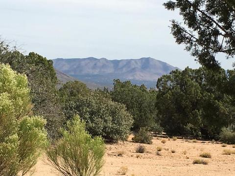 10375 E Windup Trl, Kingman, AZ 86401 photo 9