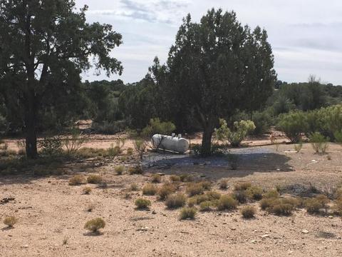 10375 E Windup Trl, Kingman, AZ 86401 photo 11