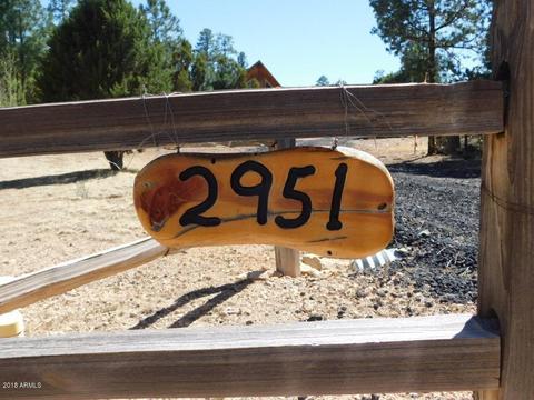 2951 Valley Frg, Overgaard, AZ 85933 photo 2