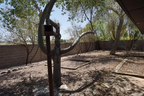 1649 E Hampton Ave, Mesa, AZ 85204 photo 33