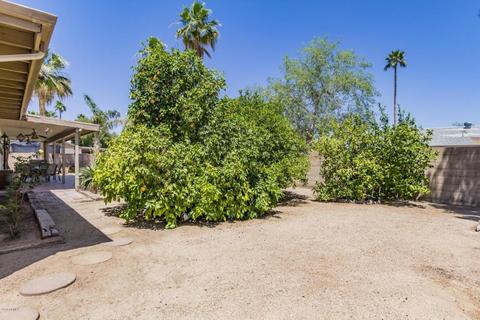 2836 E Claire Dr, Phoenix, AZ 85032 photo 24