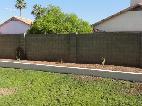 3444 E Sequoia Dr, Phoenix, AZ 85050 photo 22