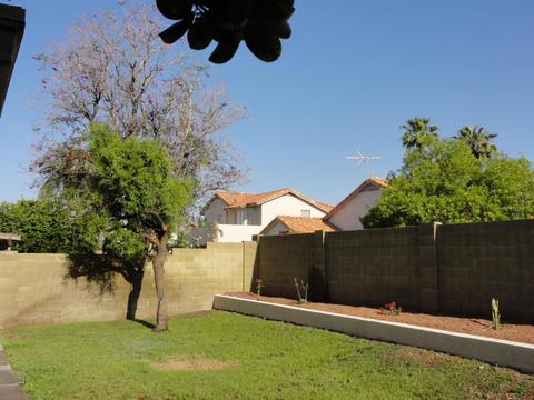3444 E Sequoia Dr, Phoenix, AZ 85050 photo 21