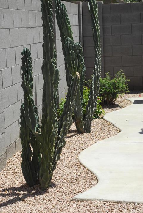 3432 E Remington Dr, Gilbert, AZ 85297 photo 47