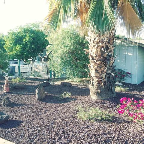 934 E Manhatton Dr, Tempe, AZ 85282 photo 2
