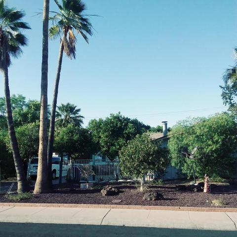 934 E Manhatton Dr, Tempe, AZ 85282 photo 3
