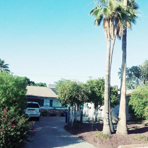 934 E Manhatton Dr, Tempe, AZ 85282 photo 4