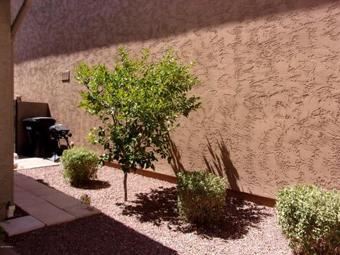 1021 S Nancy Ln, Gilbert, AZ 85296 photo 27