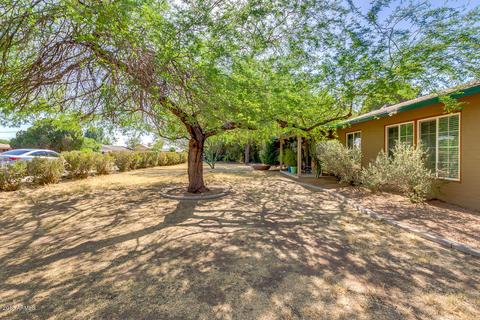 2526 E Oak St, Phoenix, AZ 85008 photo 8