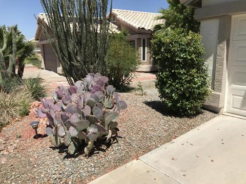 4146 E Tanglewood Dr, Phoenix, AZ 85048 photo 2