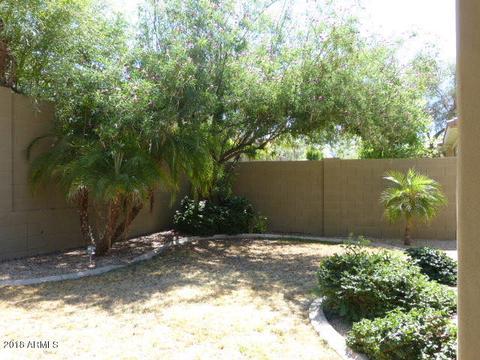 3976 E Hummingbird Ln, Phoenix, AZ 85050 photo 20
