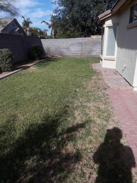 3724 E Waterman St, Gilbert, AZ 85297 photo 16