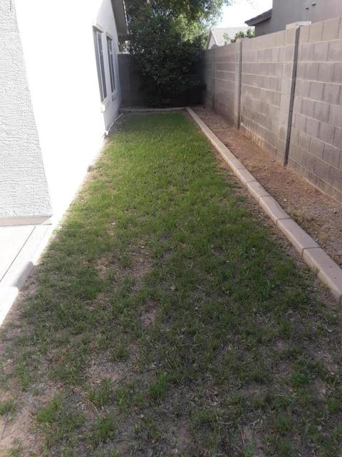 3724 E Waterman St, Gilbert, AZ 85297 photo 15