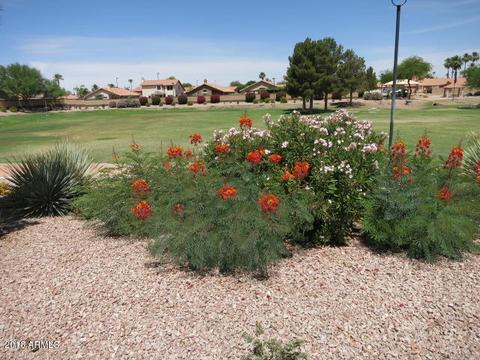 7505 E Lompoc Ave, Mesa, AZ 85209 photo 49