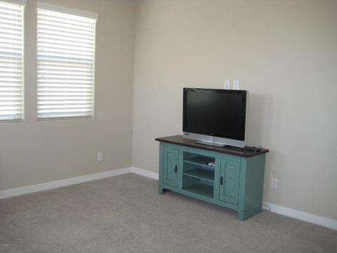 10055 E Tamery Ave, Mesa, AZ 85212 photo 16