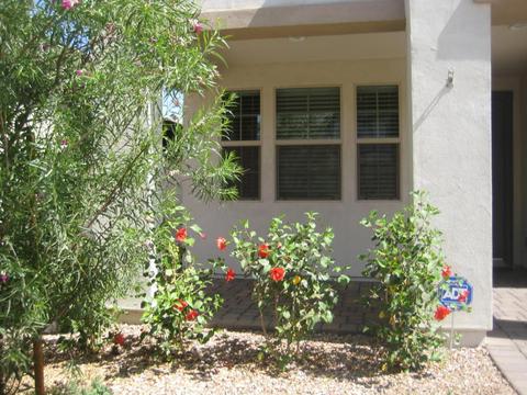 10055 E Tamery Ave, Mesa, AZ 85212 photo 31