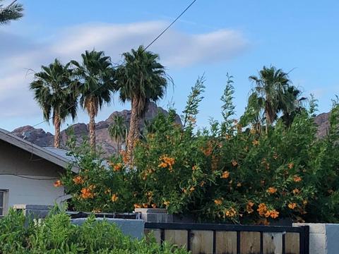 4130 E Turney Ave, Phoenix, AZ 85018 photo 26