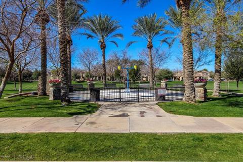 3290 E Orchid Ln, Gilbert, AZ 85296 photo 34