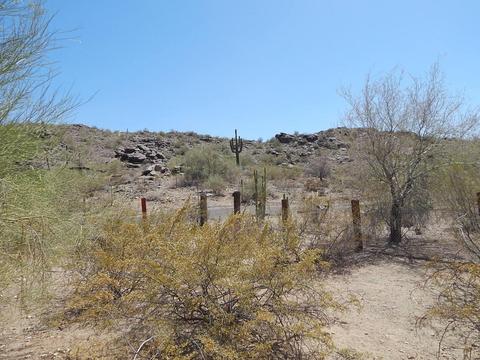 2518 E Valley View Dr, Phoenix, AZ 85042 photo 35