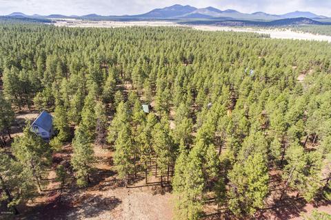 7819 E Long Bow Dr, Williams, AZ 86046 photo 25