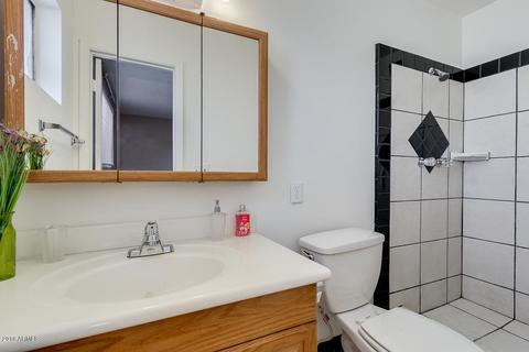 513 E Monte Way, Phoenix, AZ 85042 photo 20