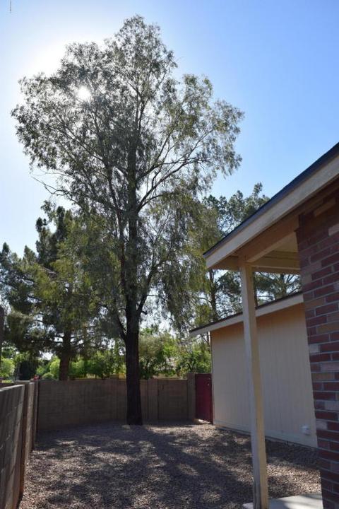178 N Heritage Dr, Gilbert, AZ 85234 photo 31