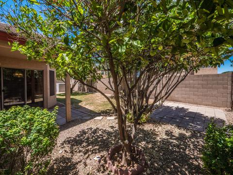 1798 E Milky Way, Gilbert, AZ 85295 photo 23