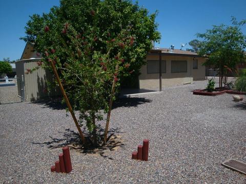 6505 Ellis St, Mesa, AZ 85205 photo 20