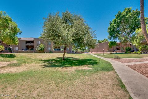 3825 E Camelback Rd #164, Phoenix, AZ 85018 photo 26