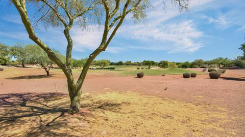 4406 E Strawberry Dr, Gilbert, AZ 85298 photo 45