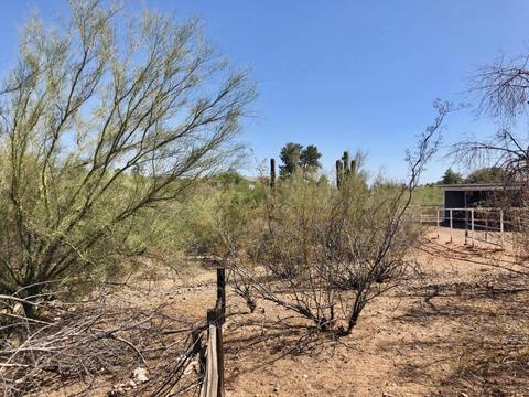 1701 E Las Palmaritas Dr, Phoenix, AZ 85020 photo 16