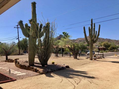 1701 E Las Palmaritas Dr, Phoenix, AZ 85020 photo 4