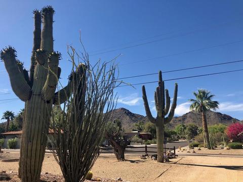 1701 E Las Palmaritas Dr, Phoenix, AZ 85020 photo 30