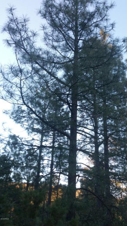 5249 Trails End Dr, Pine, AZ 85544 photo 32