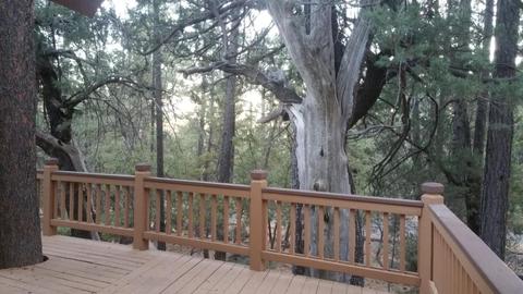 5249 Trails End Dr, Pine, AZ 85544 photo 33