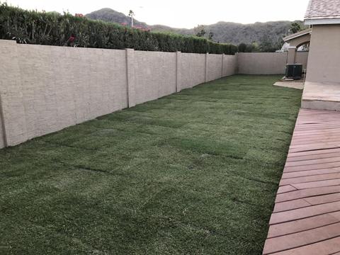 4301 E Western Star Blvd, Phoenix, AZ 85044 photo 19