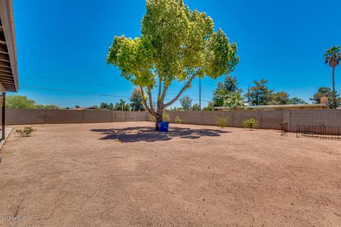 3131 E Dahlia Dr, Phoenix, AZ 85032 photo 21