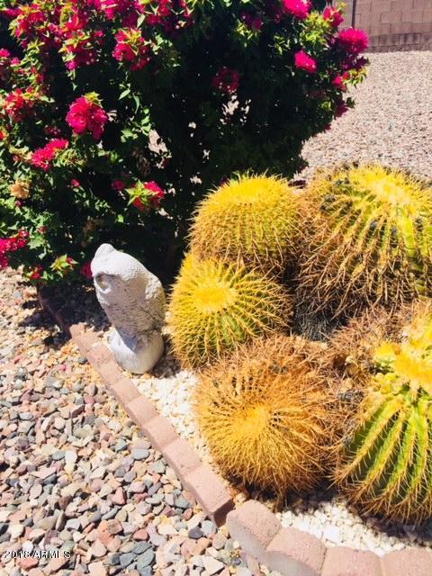 7860 E Kiowa Ave, Mesa, AZ 85209 photo 24