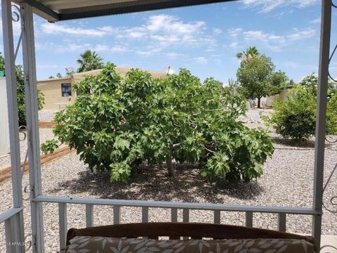 812 E Pennsylvania Ave, Florence, AZ 85132 photo 5