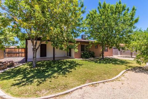 1503 Emelita Ave, Mesa, AZ 85204 photo 21