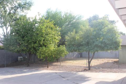 7903 E Glade Ave, Mesa, AZ 85209 photo 10