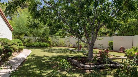 2062 E Bishop Dr, Tempe, AZ 85282 photo 9