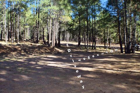 2925 Larson Loop, Forest Lakes, AZ 85931 photo 25